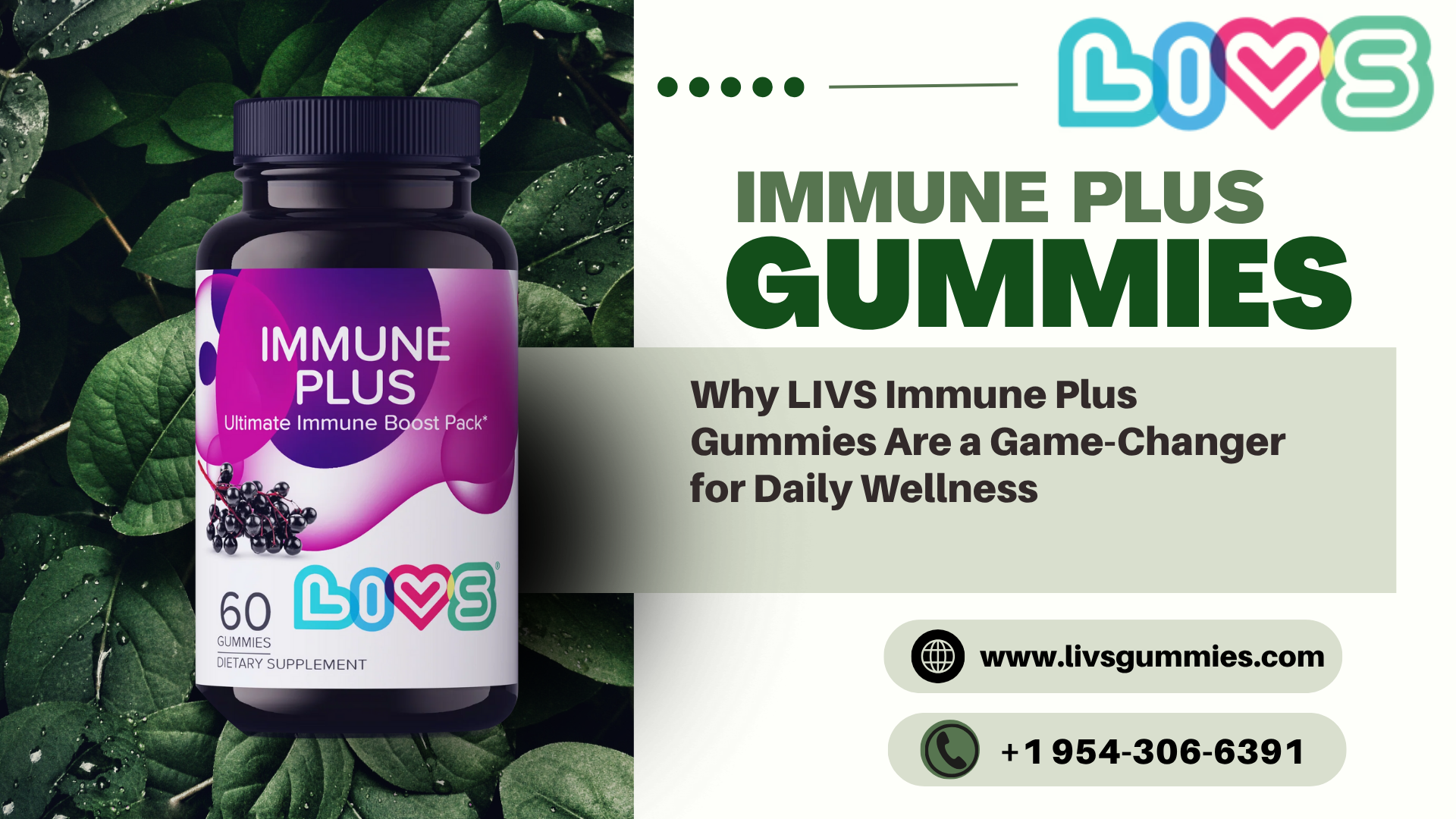 immune plus gummies